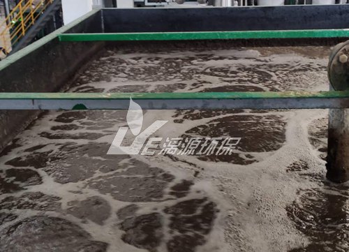 佛山孚延盛油脂化工盛煌注册工程项目