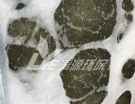 盛煌环保与您分享食品废水处理物理指标