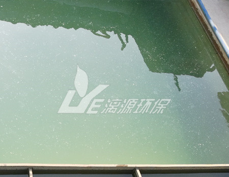 南京酸洗废水处理项目领导团队莅临盛煌环保参观交流