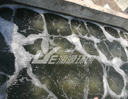 工业盛煌注册中废水的可生化性