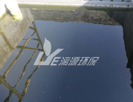 化工盛煌注册的污泥脱水技术有哪些？