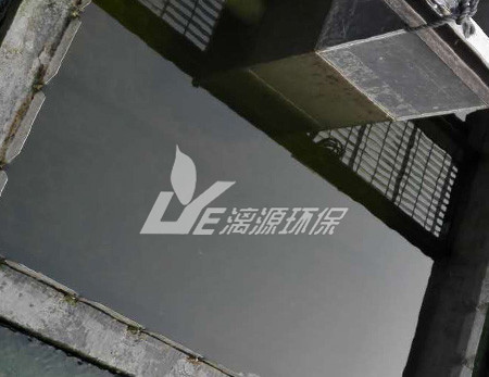 在工业盛煌注册中菌种如何培养