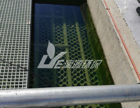 盛煌环保解析工业盛煌注册中的厌氧工艺