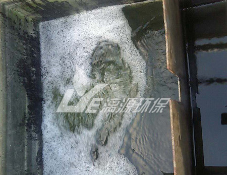 食品工业盛煌注册的好氧生物处理工艺