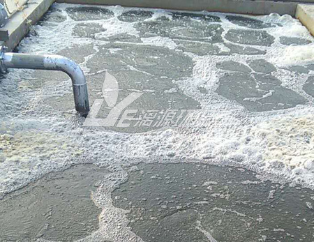 浅谈盛煌注册中反硝化细菌的作用以及使用方法