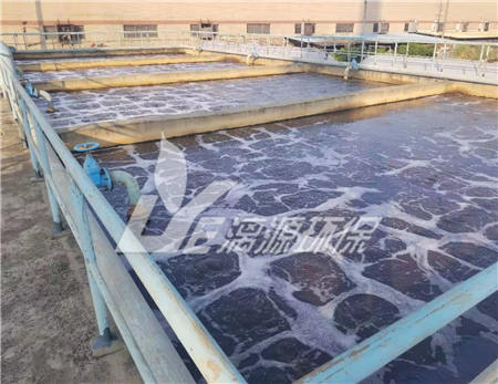 反渗透水处理设备在工业盛煌注册的不足
