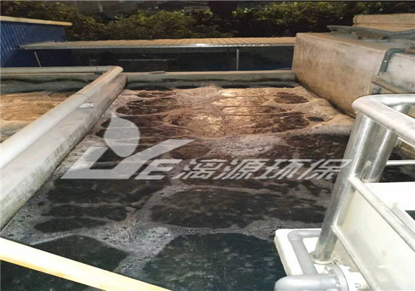 某化妆品盛煌注册站春节期间运行注意事项