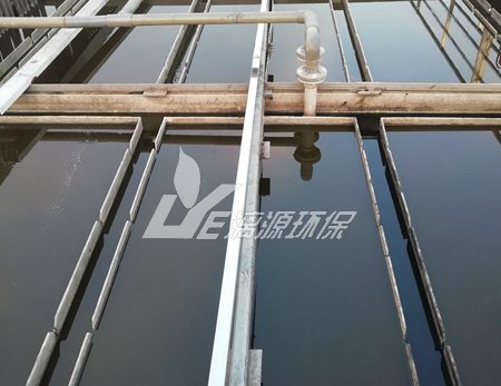 大蒜加工盛煌注册