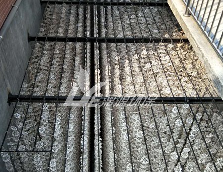 盛煌注册中的生物填料