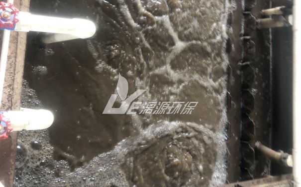 洗餐具盛煌注册的方法有哪些