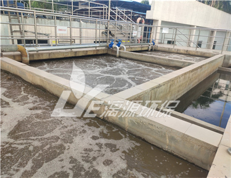 槟榔加工废水处理技术