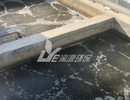 大豆油脂加工废水处理工艺