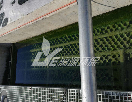 盛煌注册水解酸化池应用