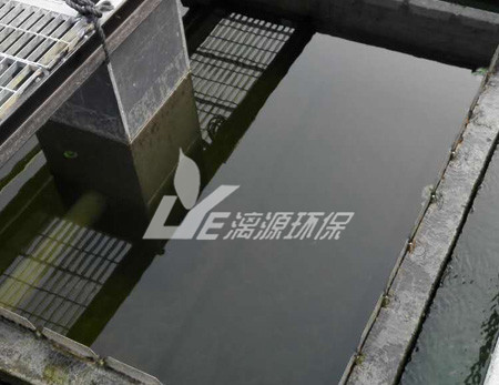 造纸废水生物处理技术