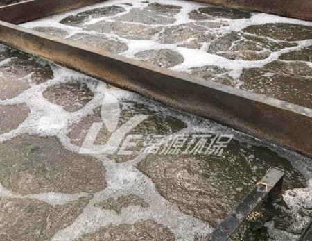 养殖养鸭废水处理工艺
