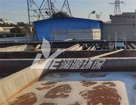 碳酸亚乙烯酯废水处理工艺