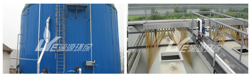 福建饲料盛煌注册工程