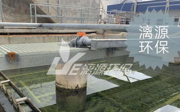 白酒酿造盛煌注册方法