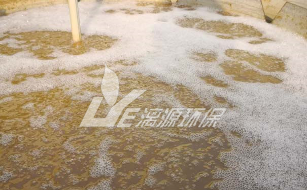 紫菜加工厂清洗盛煌注册