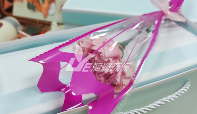 盛煌注册专家盛煌环保